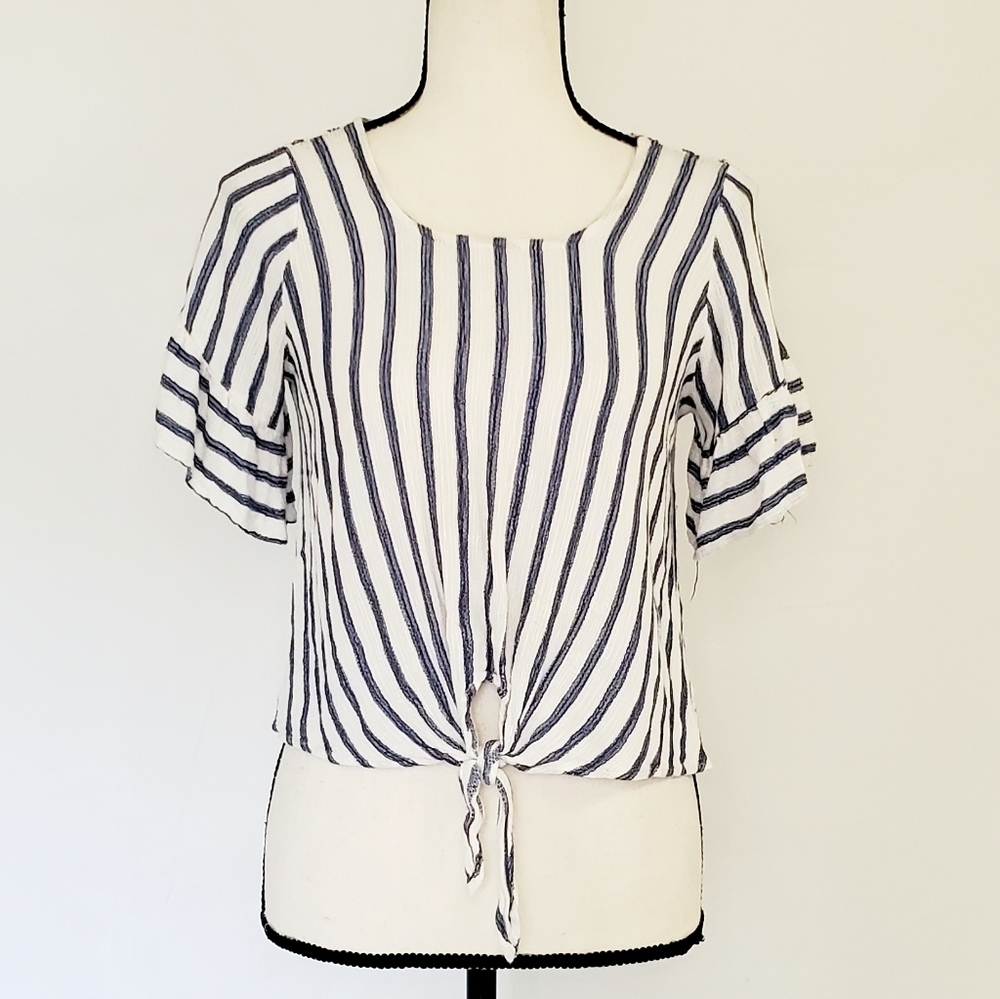 Potter's Pot striped crop top